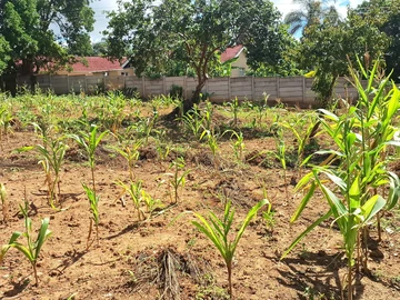 Stands & Residential Land