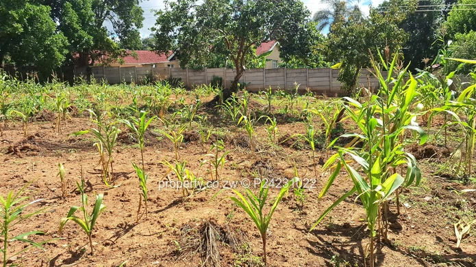 Greystone Park $169K