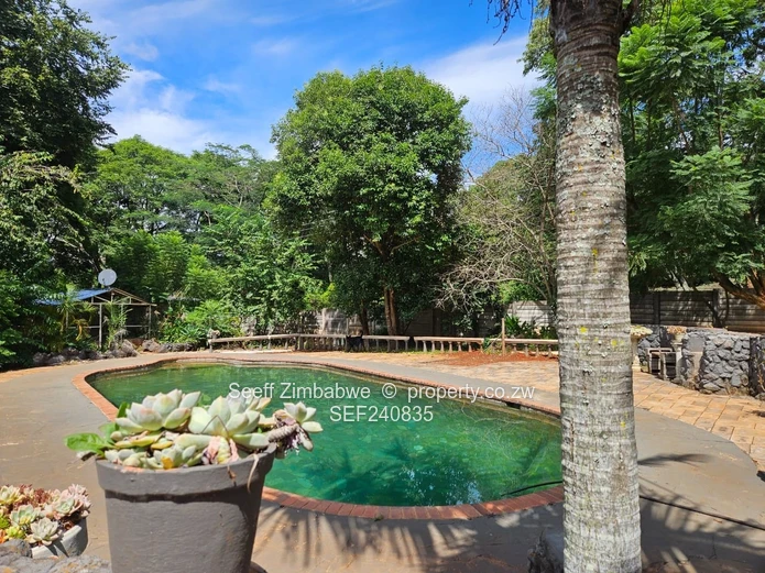 Contemporary Living Redefined: 4-Bedroom Home with Private Pool & Full Utility Backup