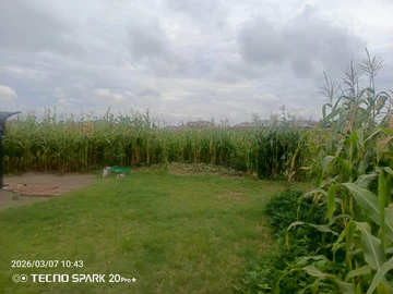 Stands & Residential Land