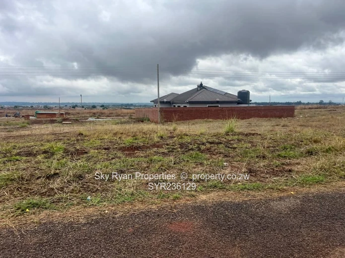 Pomona Stand For Sale