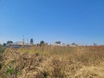 Stands & Residential Land