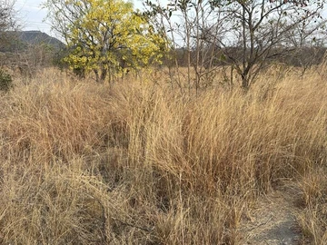 Commercial & Industrial Land