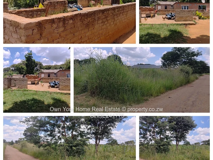 Nharira views, Norton stand for sal 