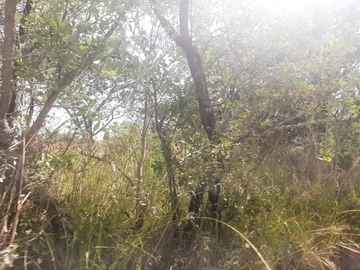 Farm & Agricultural Land