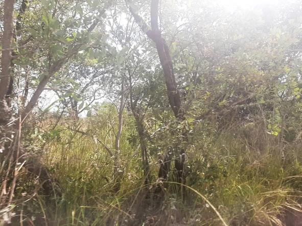 Farm & Agricultural Land