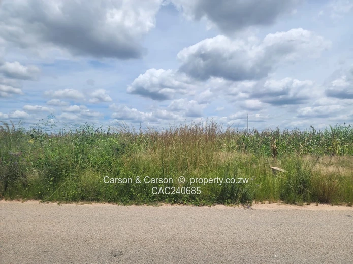 Never to be Missed!!!