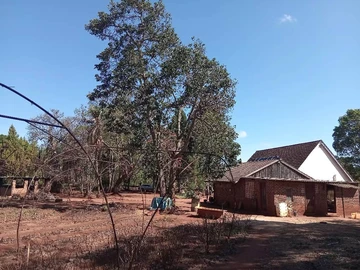 Farm & Agricultural Land