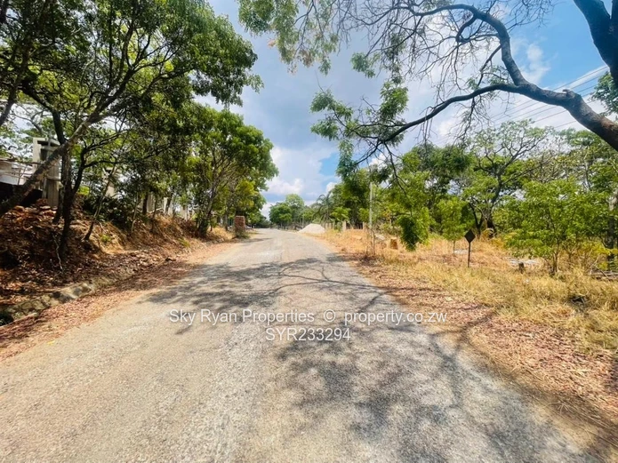 Glen Lorne  Stand For Sale (Sole Mandate)