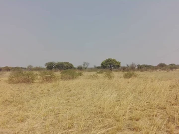 Farm & Agricultural Land