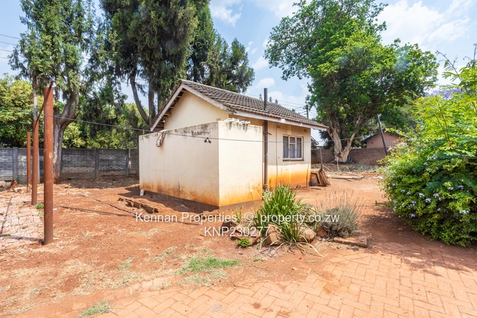 Renovator's Dream - Nostro!