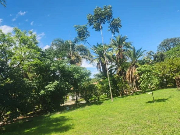 Shop & Retail Property