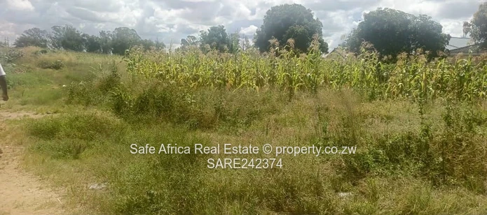 Stands for Sale in Timire Park, Ruwa