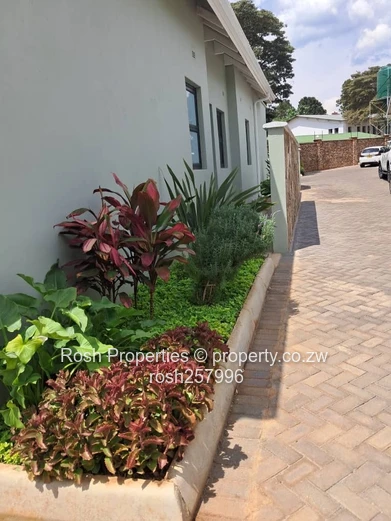 Modern 3-Bed Garden Flat with Borehole -Borrowdale West