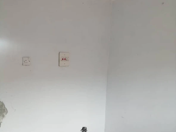 2 Bedroom Flat & Apartment