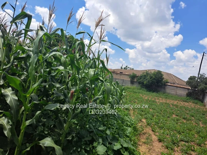 Granary Park Harare –corner stand for sale measuring 569sqm