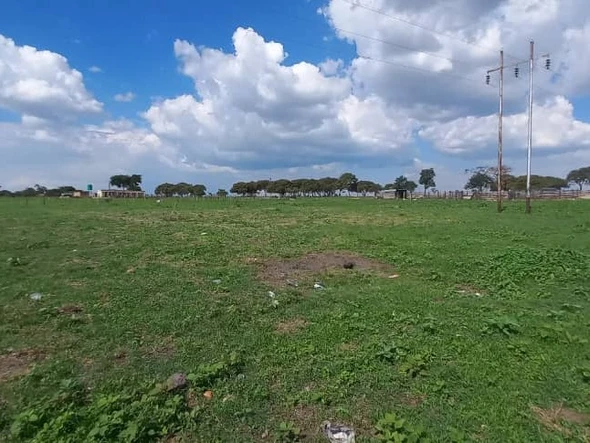 Farm & Agricultural Land