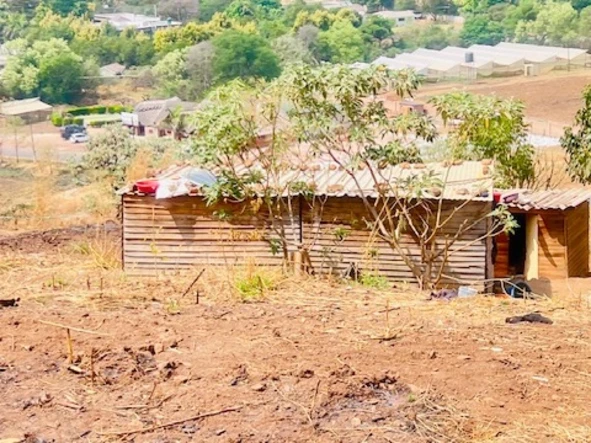 Stands & Residential Land