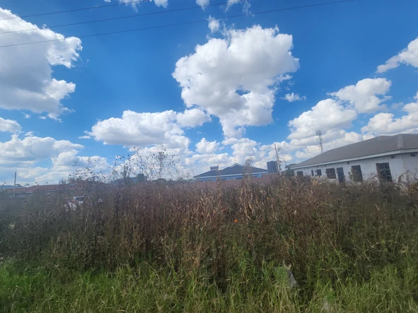 Stands & Residential Land