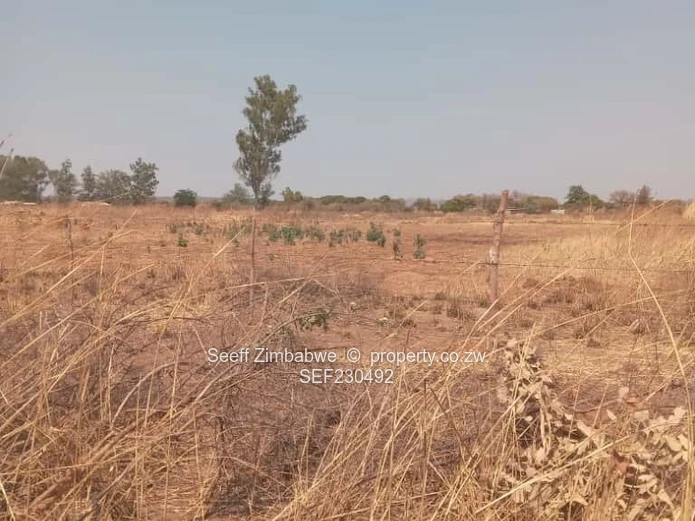 Prime 2.3 Hectares of Land in Kadoma – Ideal for Your Next Project!