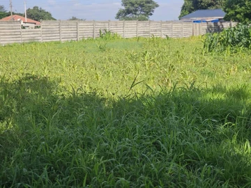 Stands & Residential Land