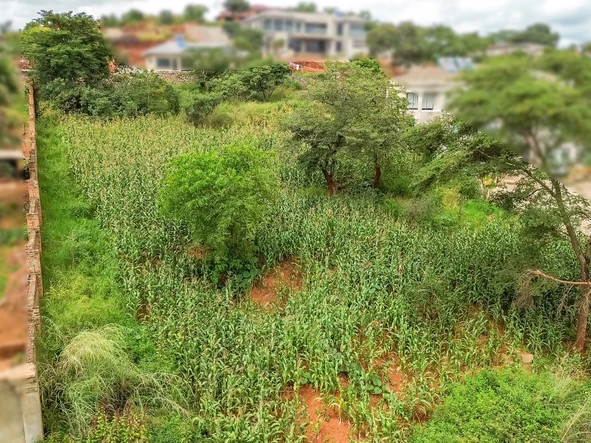 Stands & Residential Land