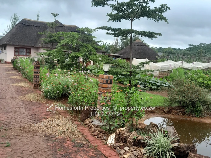 Thatched House For Sale In Crowhill