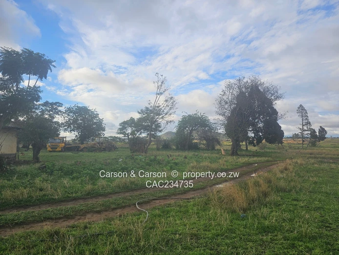 Cluster stands for sale