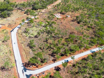 Farm & Agricultural Land