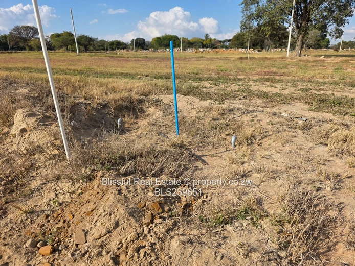 Hatfield Stands For Sale