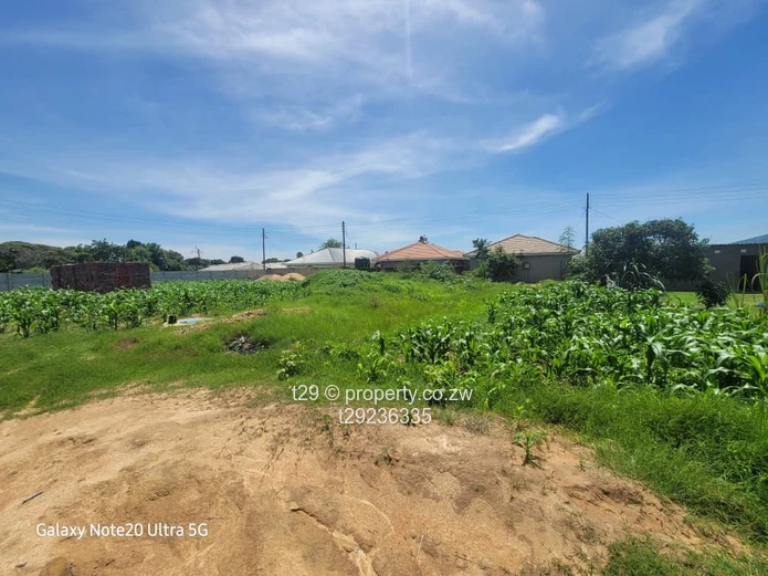 Granary phase 4 stand for sale