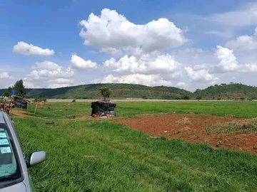 Farm & Agricultural Land