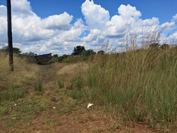 Stands & Residential Land