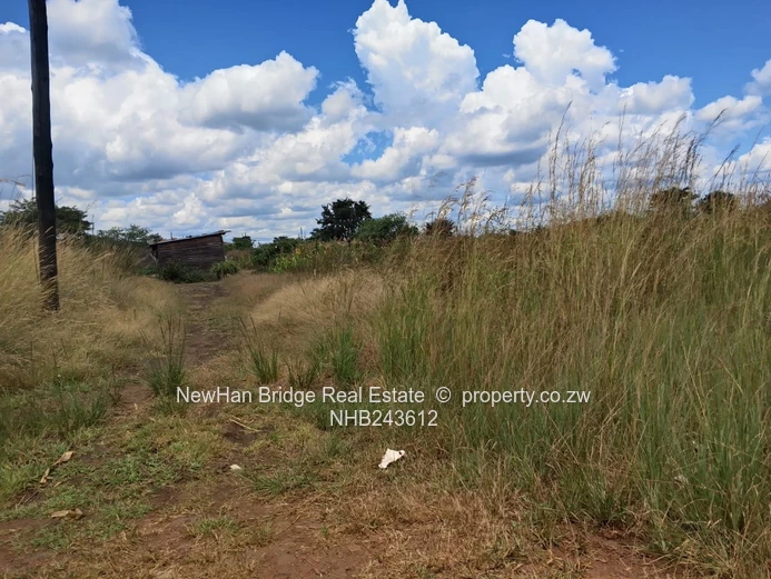 Norton Galloway For Sale