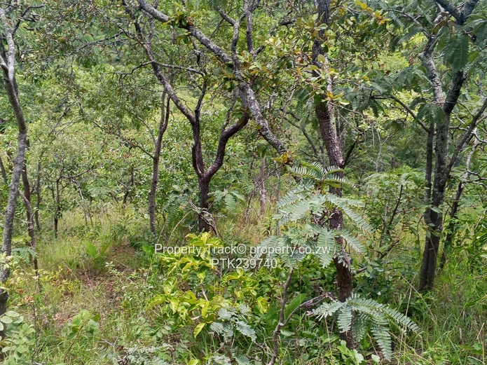 Excellently Positioned!