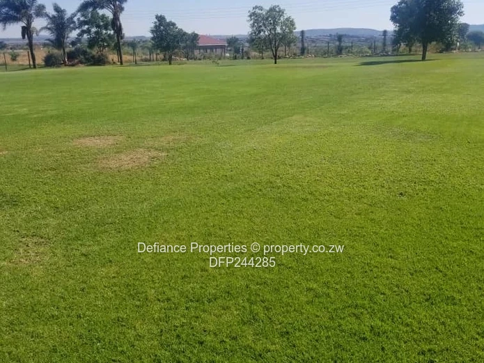 Investment opportunity 