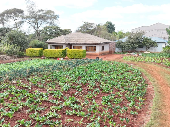 Stands & Residential Land