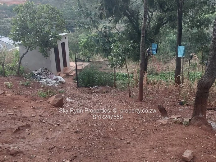 Shawasha Hills Stand For Sale