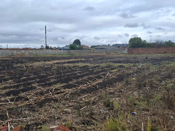 Stands & Residential Land