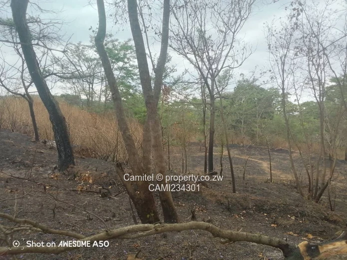 A good potential Investment