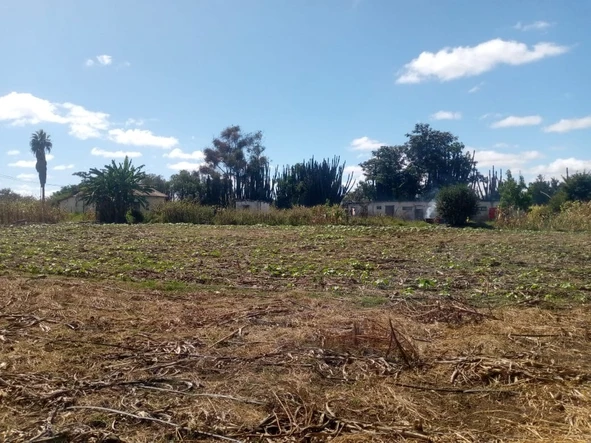 Farm & Agricultural Land