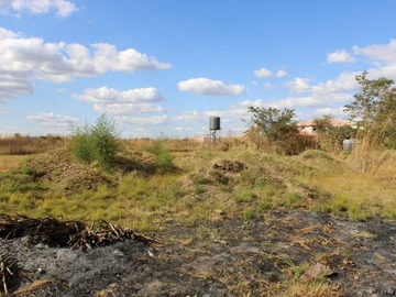 Stands & Residential Land