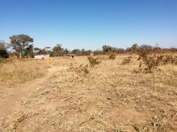 Farm & Agricultural Land