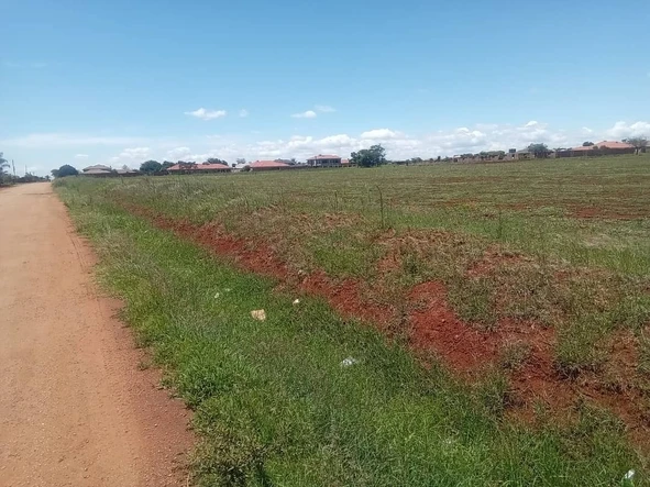 Stands & Residential Land