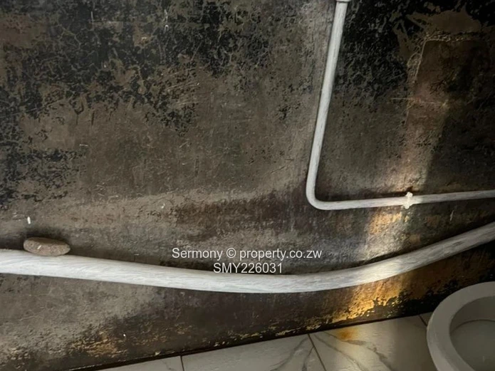 Residential house for rent