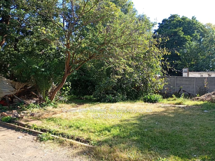 Residential Land For Sale In Mount Pleasant