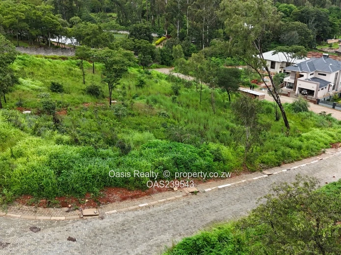 Carrick Creagh stands for sale