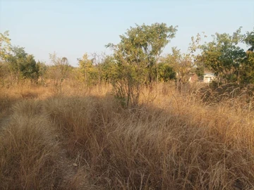 Farm & Agricultural Land