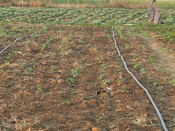 Farm & Agricultural Land