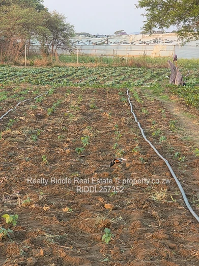 10,000-Acre Irrigated Farm with Greenhouses & Main Road Frontage